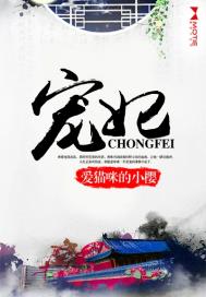 宠妃之路
